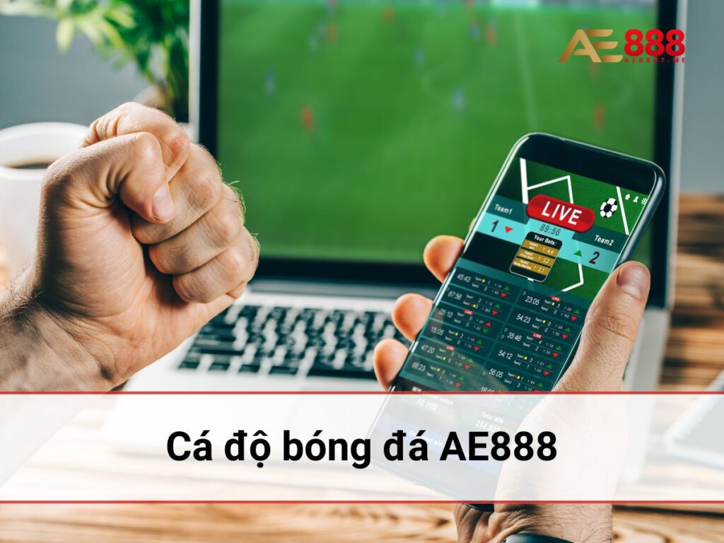 cá độ bóng đá ae888