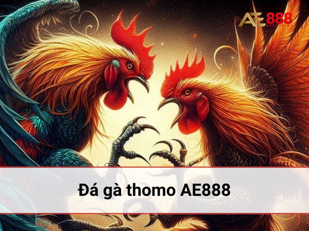 đá gà thomo ae888